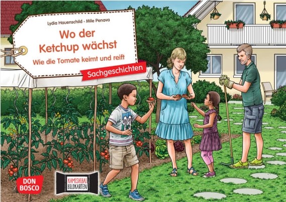 Wo der Ketchup wächst. Wie die Tomate keimt und reift. Kamishibai Bildkartenset