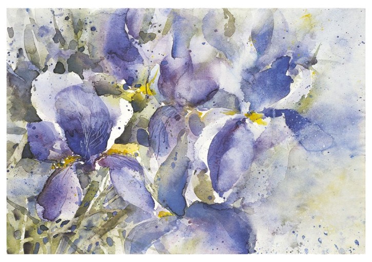 Blaue Iris