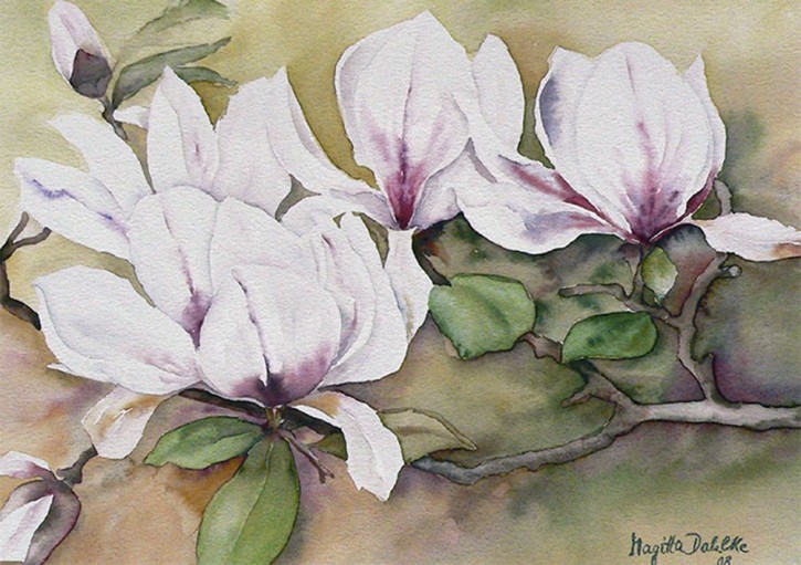 Magnolien