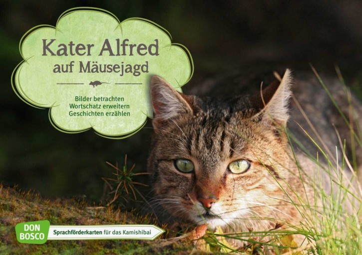 Kater Alfred auf Mäusejagd. Kamishibai Bildkartenset