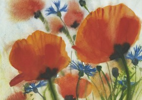 Kornblumen u. Mohn