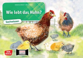 Wie lebt das Huhn? Kamishibai Bildkartenset