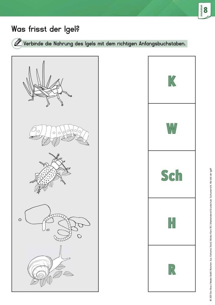 Arbeitsmaterial Grundschule. Sachunterricht: Wie lebt der Igel?, m. 1 Beilage