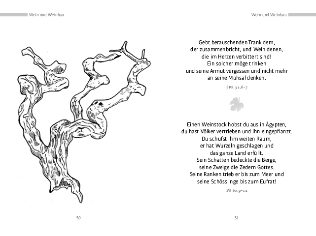 Die schönsten Bibelverse für Gartenliebende